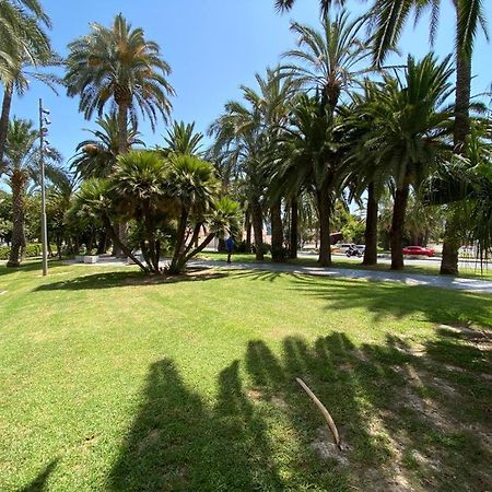 شقة Tropical Loft لقنت المظهر الخارجي الصورة