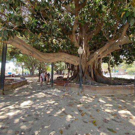 شقة Tropical Loft لقنت المظهر الخارجي الصورة
